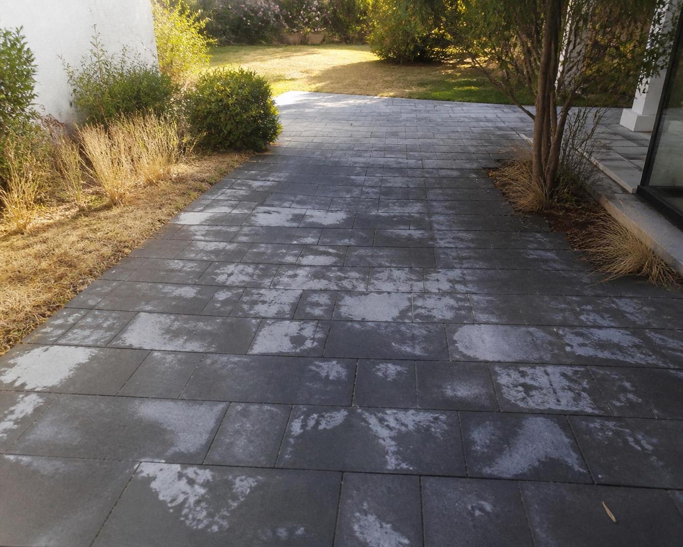 découvrez ce que fait réellement l'adblue utilisé comme désherbant et pourquoi c'est une mauvaise idée pour vos espaces extérieurs. analyse des effets et des risques pour votre jardin.