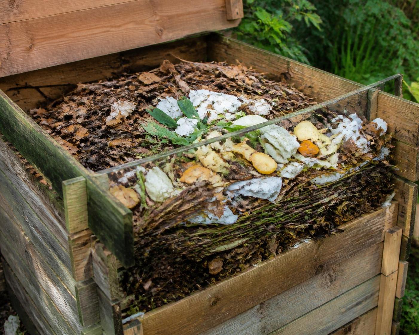 découvrez comment utiliser le sopalin compostable dans votre bac de compostage maison et ce qu'il est réellement possible d'y mettre pour un compost efficace et écologique.